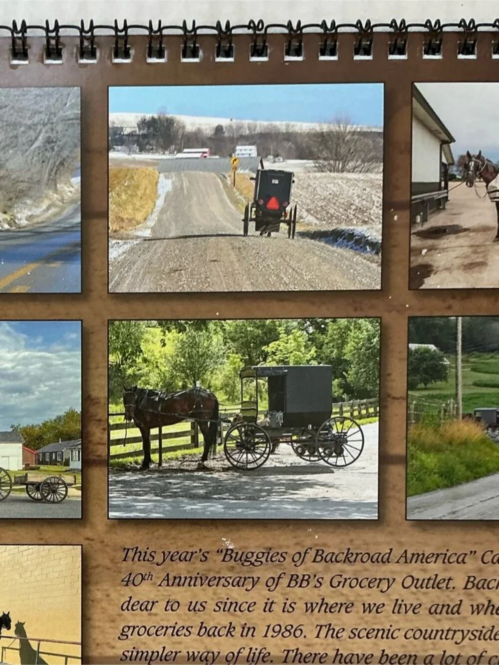 Amish Buggies of Backroad America 2026 Wall Calendar Scenic Pennsylvania NEW